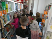 Przedszkolaki wybierają książki z regałów bibliotecznych